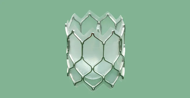 Transcatheter Pediatric Heart Valve